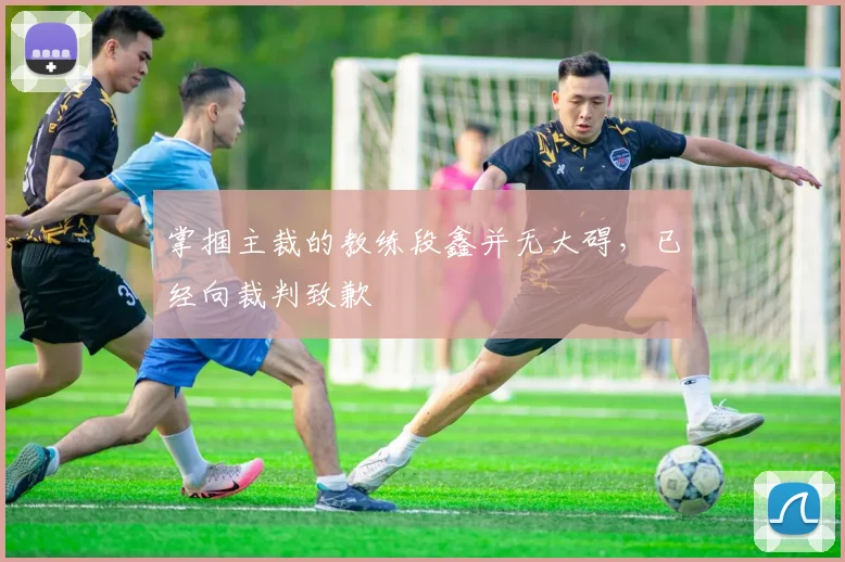 掌掴主裁的教练段鑫并无大碍，已经向裁判致歉