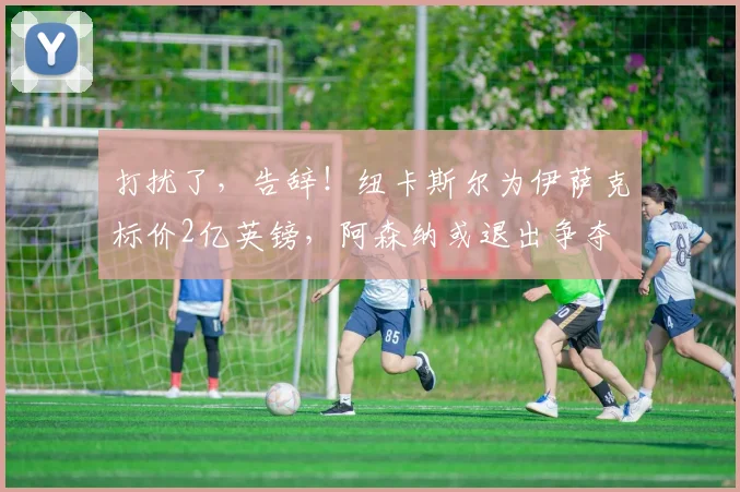 打扰了，告辞！纽卡斯尔为伊萨克标价2亿英镑，阿森纳或退出争夺